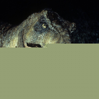 Jurassic Park