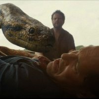 Anaconda