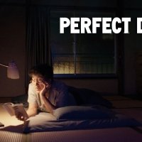 PERFECT DAYS