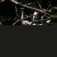 Predator