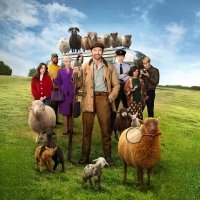 The Sheep Detectives