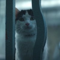 A Quiet Place: Day One