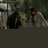 Bird Box