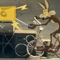 Coyote vs. Acme