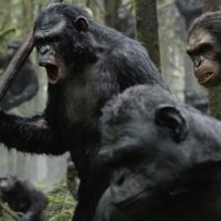 Dawn of the Planet of the Apes