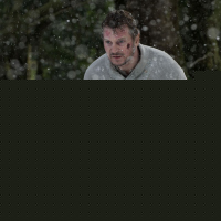 The Grey