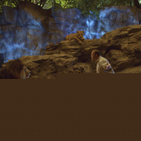 The Zookeeper