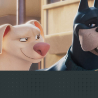 DC League of Super-Pets