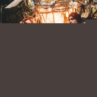Swiss Army Man