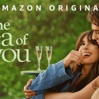 The Idea of You