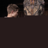 Water for Elephants
