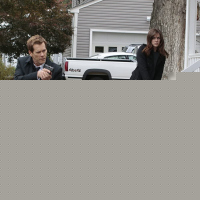 The Following