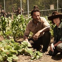 The Walking Dead