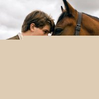 War Horse
