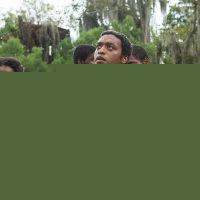 12 Years a Slave
