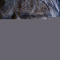 Beowulf