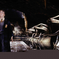 Harry Potter and the Chamber of Secrets