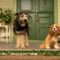 Lady and the Tramp
