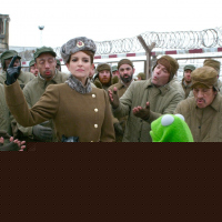 Muppets Most Wanted