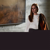 Nocturnal Animals