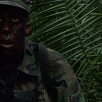 Predator