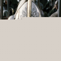 The Lord of the Rings: The Return of the King