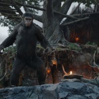 Dawn of the Planet of the Apes