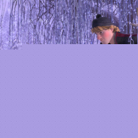 Frozen