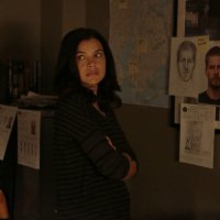 The Following