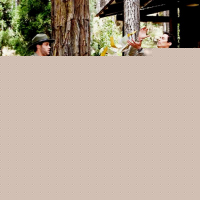 Yogi Bear