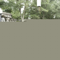 Zookeeper