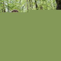 Blair Witch