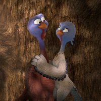 Free Birds