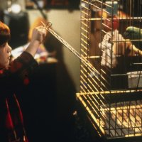Home Alone 3