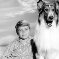 Lassie