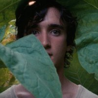 Lazzaro felice