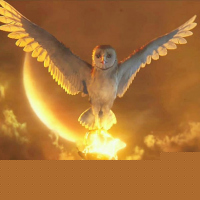 Legend of the Guardians: The Owls of Ga'Hoole
