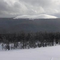 The Dyatlov Pass Incident