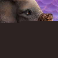 The Magician's Elephant