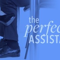 The Perfect Assistant