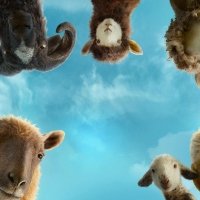 The Sheep Detectives