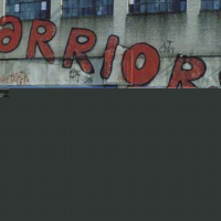 The Warriors