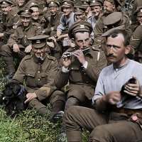 They Shall Not Grow Old