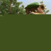 Yogi Bear