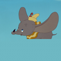 Dumbo