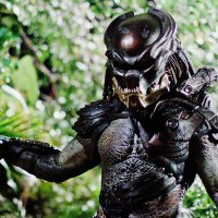 Predators