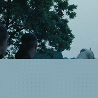 The Last Airbender