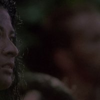 Predator