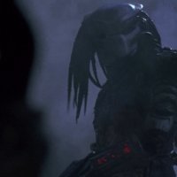 Predator