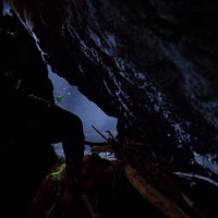 Predator